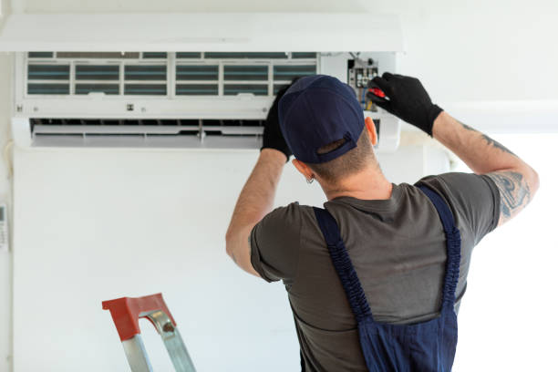 Air Duct Mold Removal in Candlewick Lake, IL