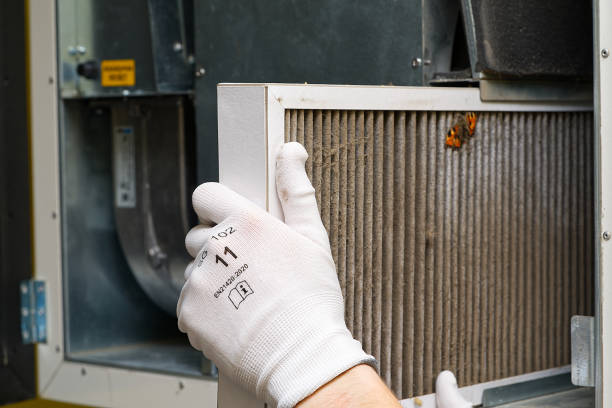 Best Affordable Air Duct Cleaning  in Candlewick Lake, IL